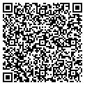 QR code with Mochem contacts