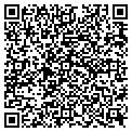 QR code with Ingles contacts