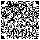 QR code with Pulaski Middle School contacts