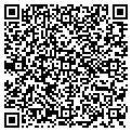 QR code with Angels contacts