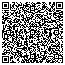 QR code with Steadwin Inc contacts