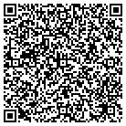 QR code with Pulaski Casimer Elementary contacts
