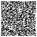 QR code with Carpet Store contacts