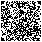 QR code with Blimpie Subs & Salads contacts