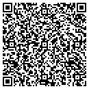QR code with Color Faux Walls Inc contacts