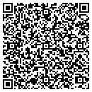 QR code with Public Checks Inc contacts
