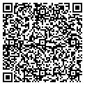 QR code with Intac contacts