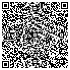 QR code with Blimpie Subs & Salads contacts