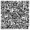 QR code with Havens contacts