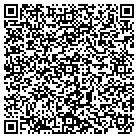 QR code with Dreaming Tree Electronics contacts
