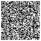 QR code with Pulaski Package Store contacts