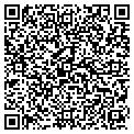QR code with C Gris contacts