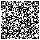 QR code with Premium Web Design contacts