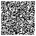 QR code with Alltel contacts