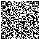 QR code with Conceptual Creations contacts