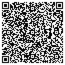 QR code with Public Works contacts