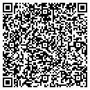QR code with Publix contacts