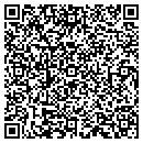 QR code with Publix contacts