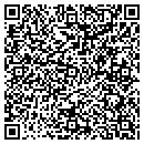 QR code with Prins Painting contacts
