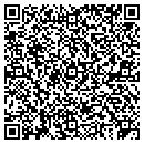 QR code with Professional Plumbing contacts