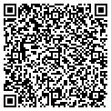 QR code with Salsa contacts