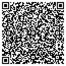 QR code with Project Safe contacts