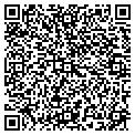 QR code with Dawgs contacts