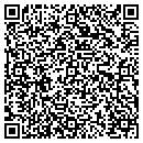 QR code with Puddles Of Paint contacts