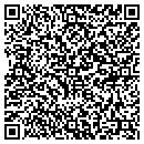 QR code with Boral Bricks Direct contacts