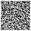 QR code with Public Storage contacts