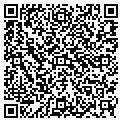 QR code with J Lang contacts