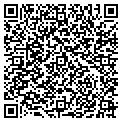 QR code with Dlg Inc contacts