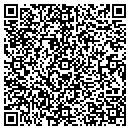 QR code with Publix contacts