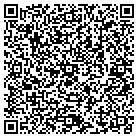 QR code with Professional Systems Enc contacts