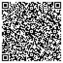 QR code with Colorworks Carpet Inc contacts
