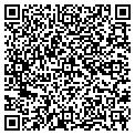 QR code with Sinfar contacts