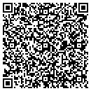 QR code with Premier Fast Tax contacts