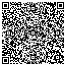QR code with Pulseworks LLC contacts