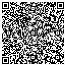 QR code with Pro Auto Service contacts