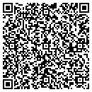 QR code with Prairie Implement Co contacts