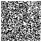 QR code with Babies Inside & Out Inc contacts