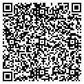 QR code with D A V contacts