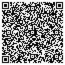 QR code with Pyro Technico contacts