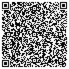 QR code with Pugmire Lincoln Mercury contacts