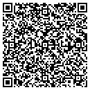 QR code with Curtin Consulting Inc contacts