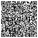 QR code with Precise Cuts contacts