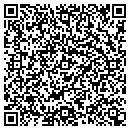 QR code with Brians Auto Sales contacts