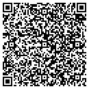 QR code with Premier Designs contacts