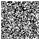 QR code with Premier Design contacts