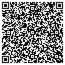 QR code with Carpet Connection Inc contacts